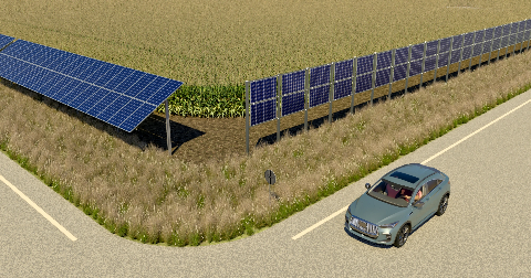 Agrivoltaics_bifacial_solar.webp 1