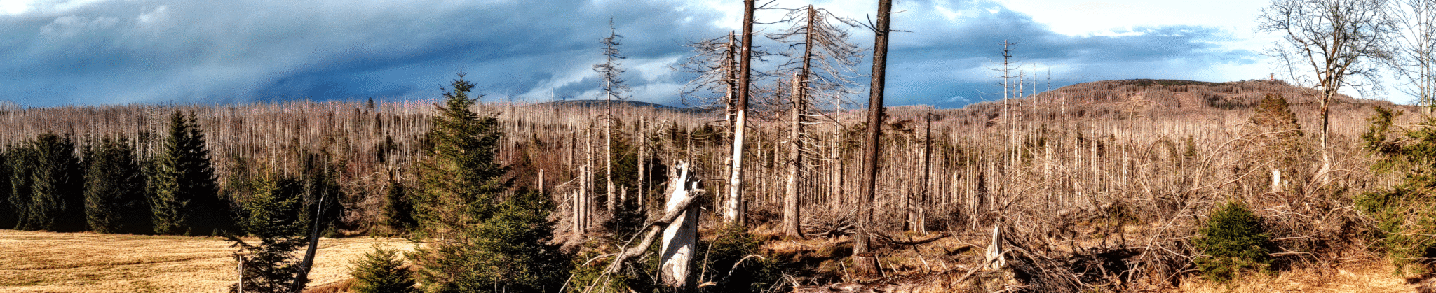 Planetary Health Check