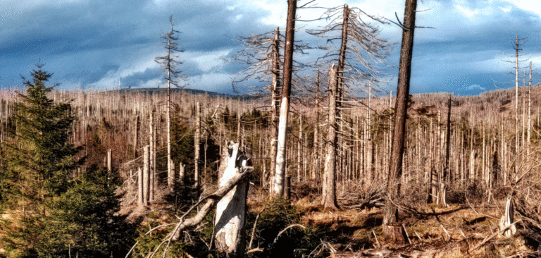 Biosphere_integrity_Stock