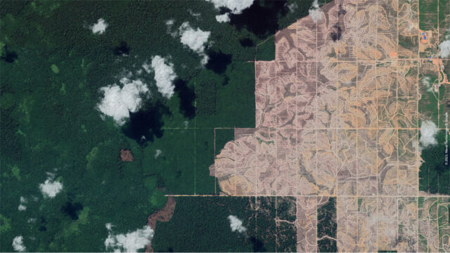 Deforestation in Central Kalimantan, Borneo, Indonesia.