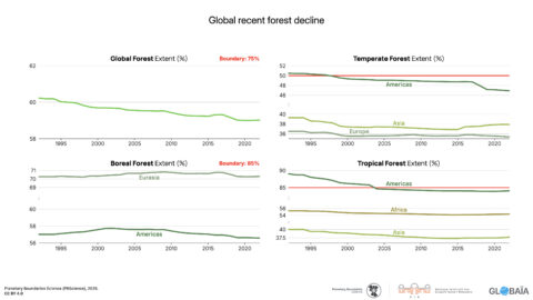 FIGURE 28 - Global recent forest decline