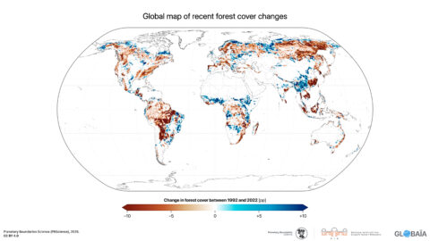 FIGURE 29 - Global map of recent forest cover changes.