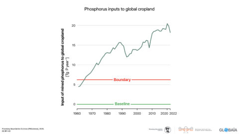 FIGURE 35 - Phosphorus inputs to global cropland