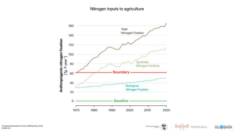 FIGURE 37 - Nitrogen inputs to agriculture