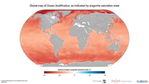 FIGURE 38 - Global map of Ocean Acidification, as indicated by aragonite saturation state