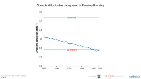 FIGURE 39 - Ocean Acidification has transgressed its Planetary Boundary