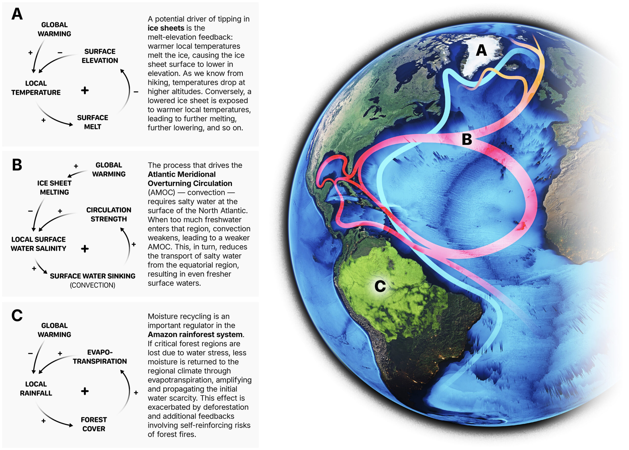An image showing the internal feedback processes of three different tipping elements of the Earth system: The Greenland Ice Sheet (A), The Atlnatic Meridional Overturning Circulation (AMOC; B) and the Amazon Rainforest (C)