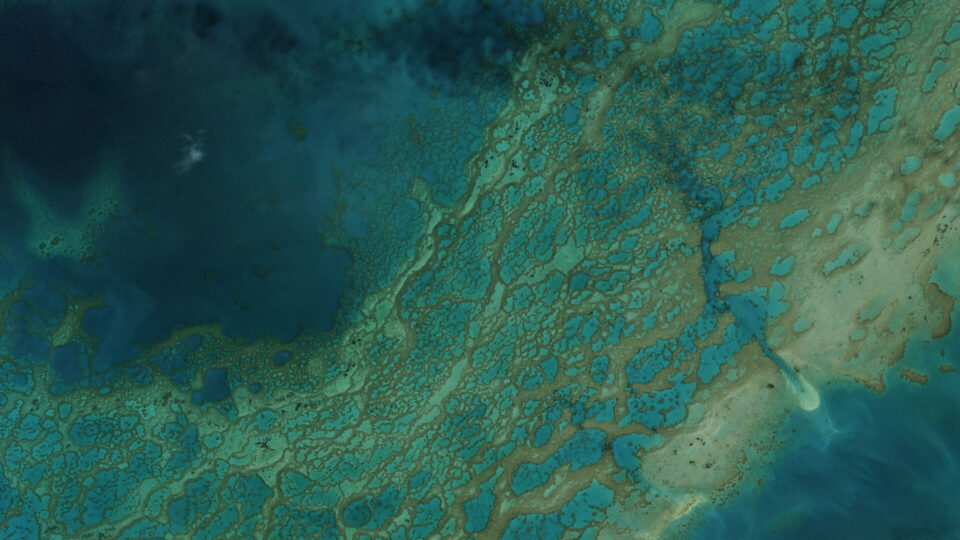 Downloads Hero Background