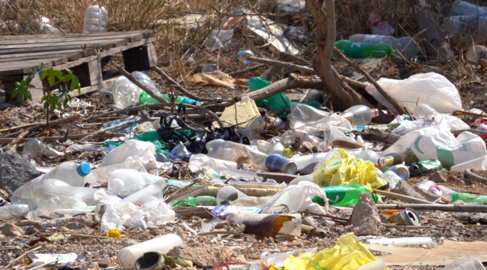 Litter On Ground Bphillips_2k