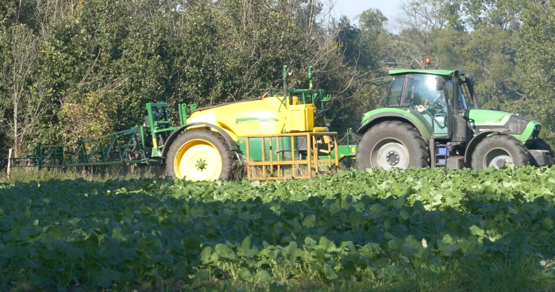 Pesticides B Phillips